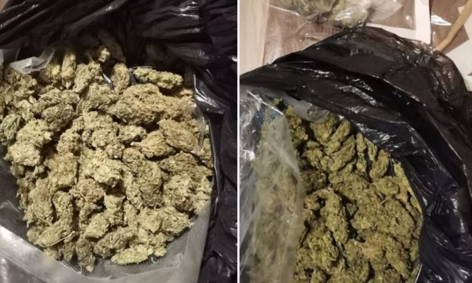 Kapen 27 ton marihuanë në Shkup e Strumicë  operacioni më i madh anti dr0gë në historinë e vendit 