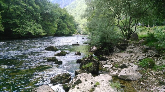 treska saraj